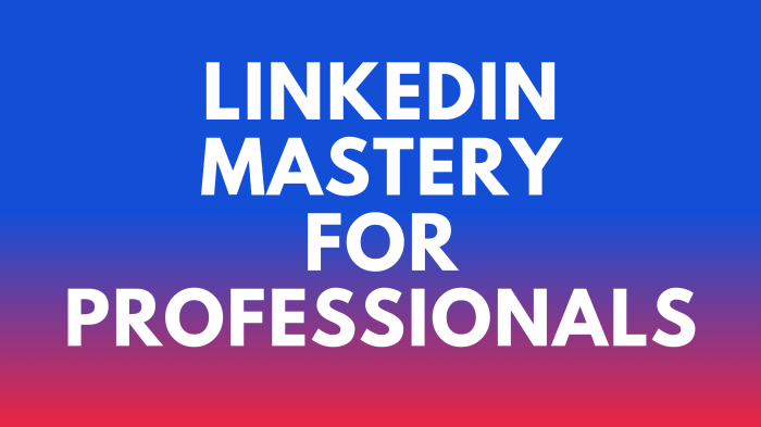 LinkedIn Mastery for Professionals